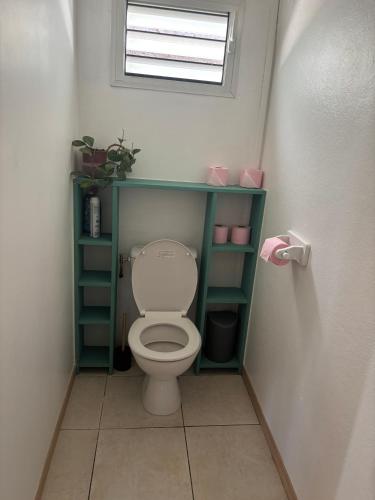 a bathroom with a toilet with green shelves and a window at La KAZ Nout Racines in Saint-Leu