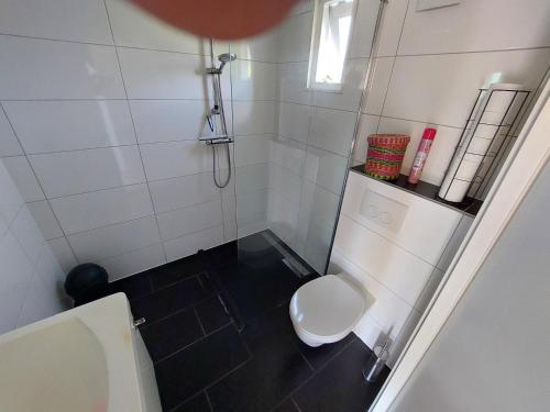 a small bathroom with a toilet and a shower at Vakantiewoning Loosdrechtse Plassen in Loosdrecht