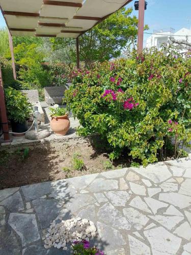 a patio with a bunch of plants and flowers at Spiti Loggos in Lóngos