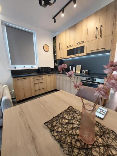 Gallery image of Apartman Šišarka Dva Divčibare in Divčibare