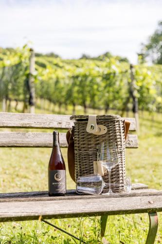 a picnic basket and a bottle of wine on a bench at Monschein Weingut Straden in Straden