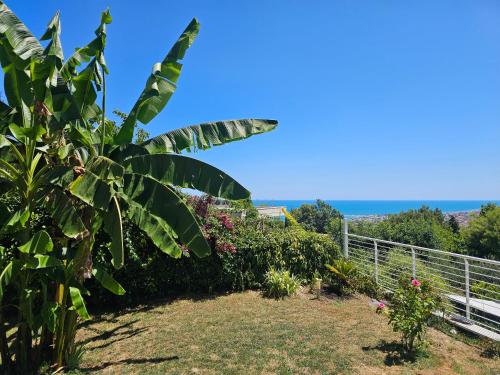 a view of the ocean from the garden at CasaVacanze Nichi vista mare in Grottammare