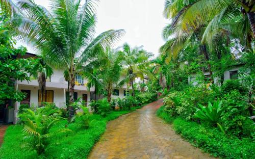 a dirt road in front of a building with palm trees at La Roca Inn in Assagao
