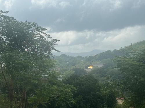 a view of a forest filled with trees and buildings at Minthula Hotel & Restaurant in Kandy