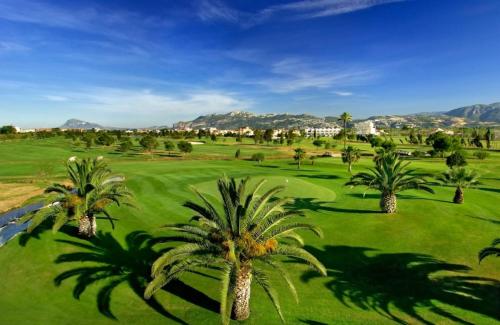 a group of palm trees on a golf course at Apartamento a 200m Playa Santa Anna in Denia