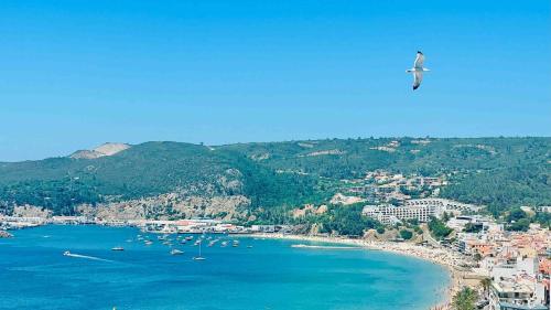 a bird flying over a beach with boats in the water at 903 by the sea in Sesimbra
