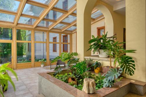 Főnix Wellness Resortにある庭