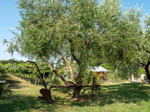 Zahrada ubytování Agriturismo Incaffi