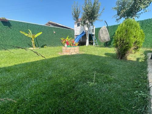 Κήπος έξω από το Vila La Nașu