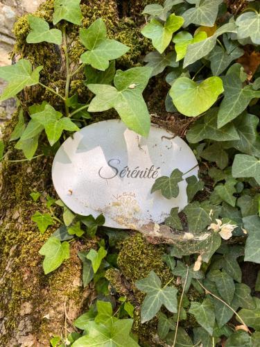 a rock embedded in the moss and plants at Les Carillons du Bois de l'Orme in Les Pechs-du-Vers