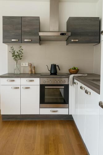 Fotografie z fotogalerie ubytování Velazza Salzburg Apartment v Salcburku