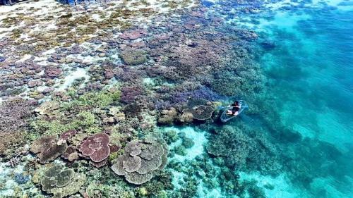 a person in a boat on a coral reef at Seaweed Village 2 in Pulau Sabangkat