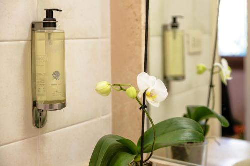 a bottle of soap on a wall next to a flower at Hotel Fertilia in Fertilia