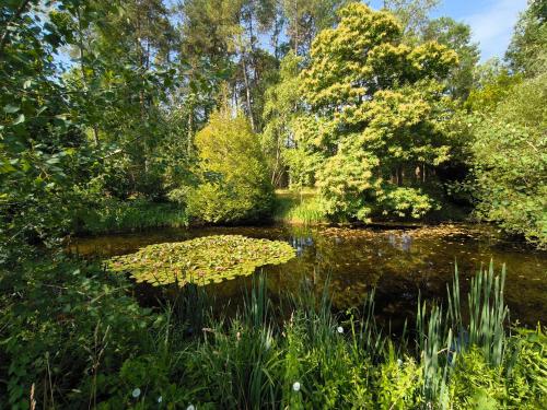Naturlandskabet i nærheden af feriehuset