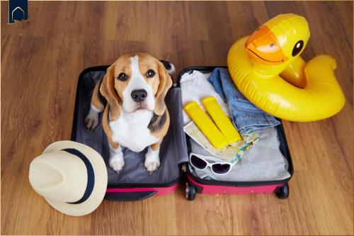 a dog is sitting inside of a suitcase at Ferienwohnung Thurbruch in Zirchow