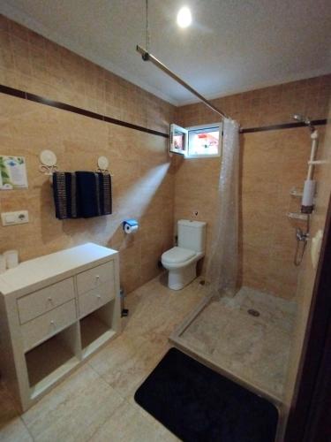 a bathroom with a shower with a toilet and a sink at hotel el candano in Pravia