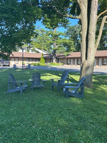 three blue benches sitting in the grass under a tree at Rideau Heights Inn in Ottawa
