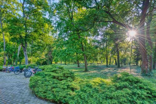 Főnix Wellness Resortにある庭