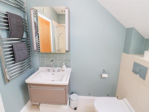 a bathroom with a sink and a toilet at Filly Brook in Worcester