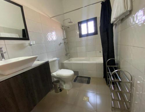 a bathroom with a sink and a toilet and a tub at Luxury Palace 