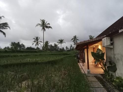 Taman di luar Rumah Kemuning Bali
