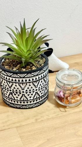 Oshun Cinco Torres Suites