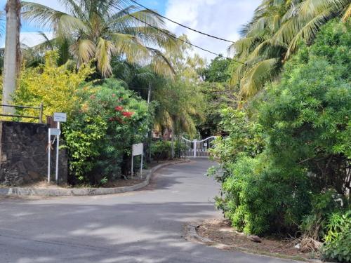 a winding road with palm trees and bushes at CosyNest Apartment in Cap Malheureux