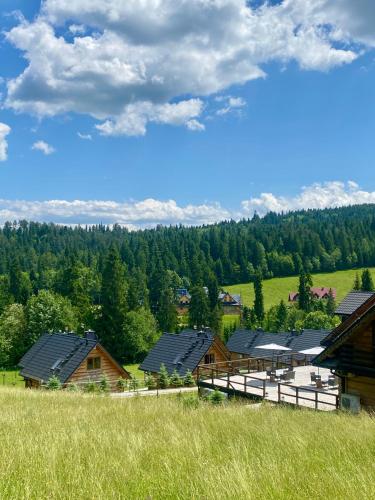 a group of wooden buildings in a field with trees at domki z dostępem do SPA i restauracji in Łapsze Niżne