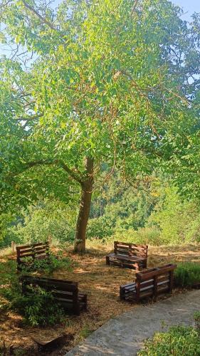 a group of park benches sitting under a tree at Casetta nella Città Invisibile in Piana Crixia