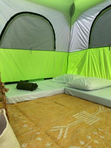 a green and white tent with a cat sleeping in it at Mosh Achziv Beach in Gesher HaZiw