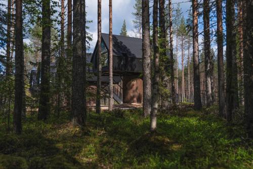 Peisaj natural din apropierea acestui hotel