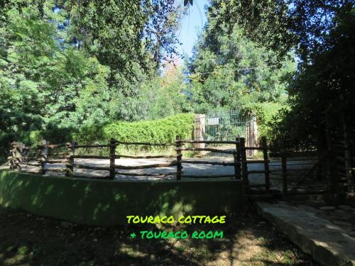a fence in front of a field with trees at Touraco in Hogsback