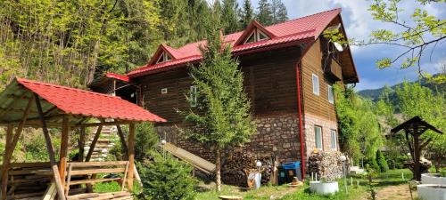 ein kleines Holzhaus mit rotem Dach in der Unterkunft Casa Nadia in Voineasa