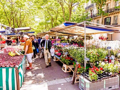 a group of people walking around a farmers market at Studio Cosy, Rénové, Ecrin de calme & confort in Céret