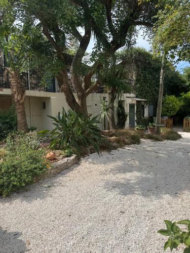une maison avec un arbre et une allée de gravier dans l'établissement Les Lodges de l'Etang, à Roquebrune-sur Argens