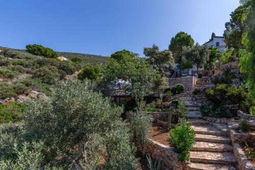 Foto dalla galleria di Kulube Hotel a Kalkan