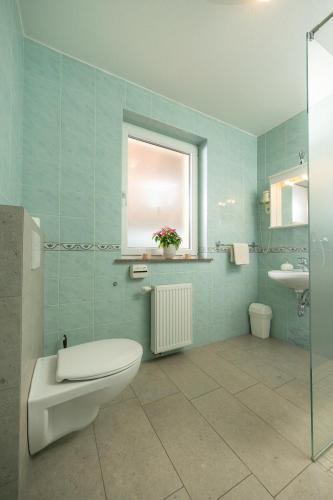 a bathroom with a toilet and a sink and a window at Rooms & Apartments Pr Matjon in Bled