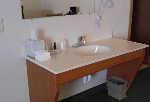 a bathroom counter with a sink and a mirror at Guardian Inn in Le Center
