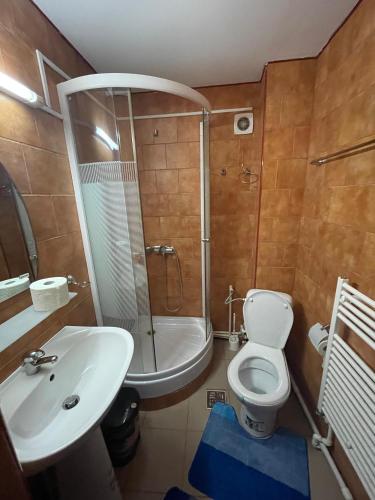 a bathroom with a sink and a toilet and a shower at Pensiunea Pe drumuri de munte in Borca
