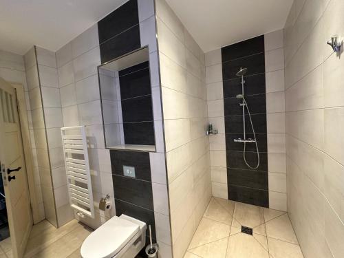 a bathroom with a toilet and a shower at VillaKrocker - ElbeRadweg trifft WandKunstwerk in Burg bei Magdeburg
