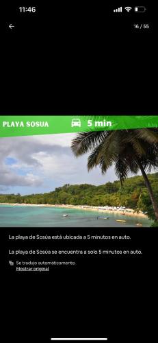 a screenshot of a website with a palm tree at Monte vista in Sosúa