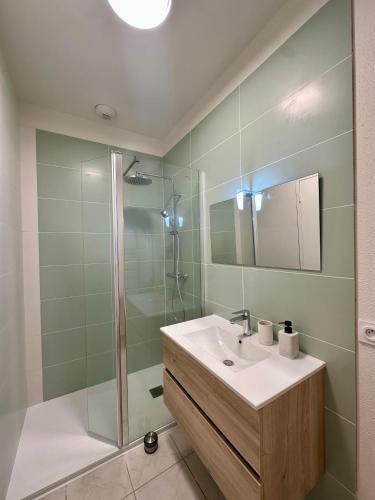 Koupelna v ubytování Une terrasse à 200m de la cathédrale - 4 personnes - logement entièrement rénové