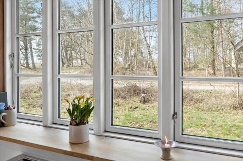 a room with four windows with flowers on a counter at 2315-Stege-Kongens-Enge-15 in Stege