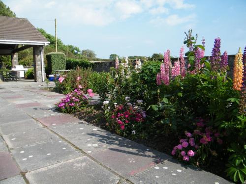 a garden with purple and pink flowers on a sidewalk at Ballas Farm Country Guest House in Bridgend