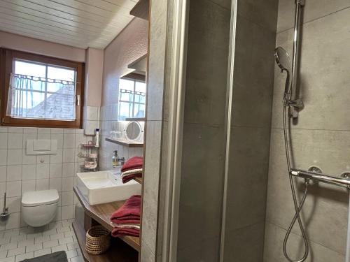 Bilik mandi di Ferienwohnungen Müller