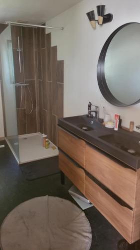 une salle de bain avec un lavabo et un miroir dans l'établissement Gîte L'horizon, à Calvisson
