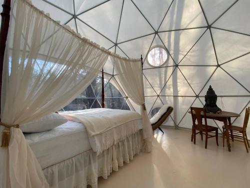 Giường trong phòng chung tại Cozy Off-Grid Dome Retreat in the Woods