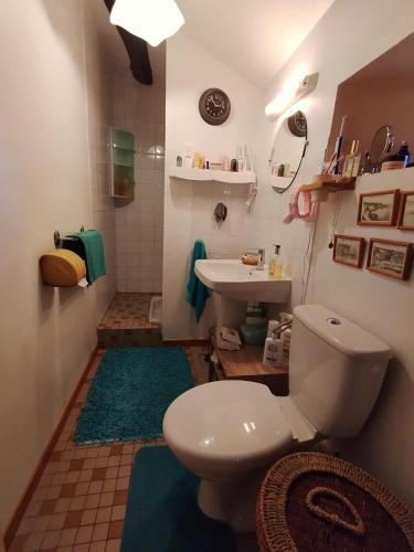 a bathroom with a toilet and a sink at Chambre d'hôte de Rochette in Viennay