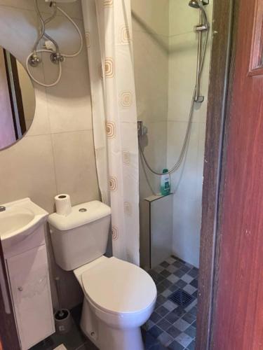 a small bathroom with a toilet and a shower at Chatka nad stawem in Radłów