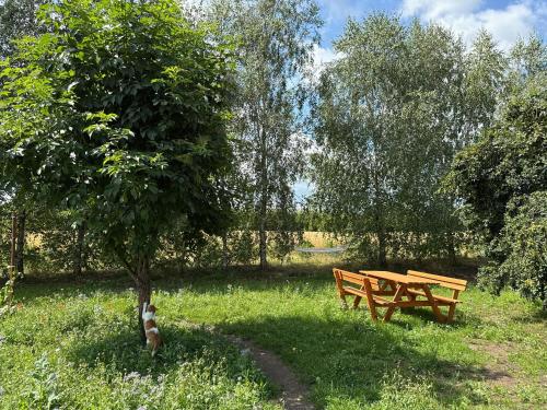 a picnic table and a tree in the grass at Apartamenty i Winnica - Siedlisko Na Polanie in Lipka Wielka